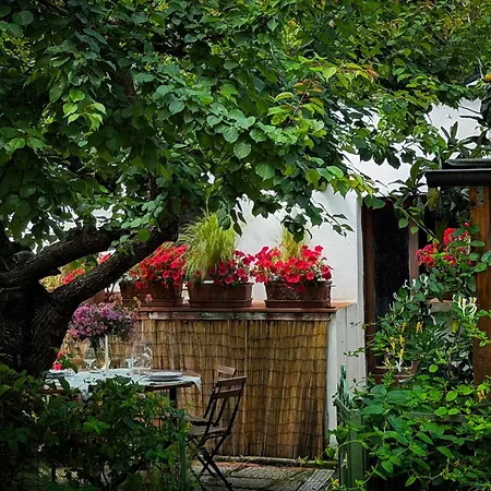 Casa Di Leo - Helloelba Дом отдыха Портоферрайо